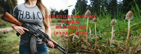 соль ск Алексин
