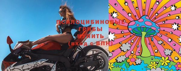 герыч Осинники